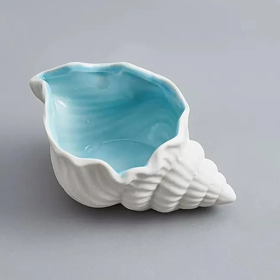 Gypsum Seashell Showpiece for home decor & conch (2-Piece Combo) — detail shot