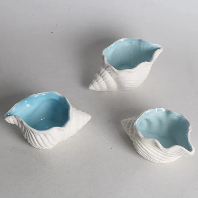 Gypsum Seashell Showpiece for home decor & conch (2-Piece Combo) — side view
