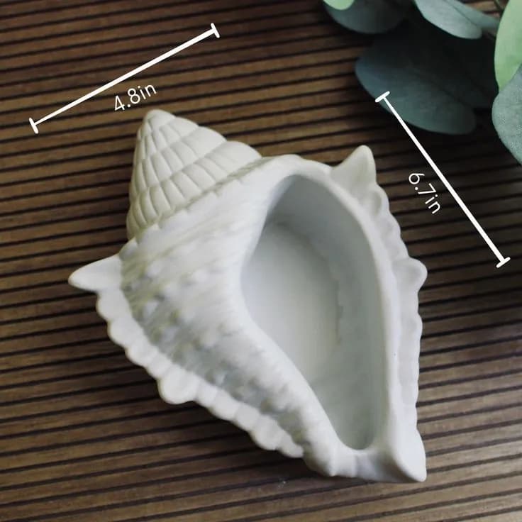 Gypsum Seashell Decorative Showpiece - For Home Decor — side view