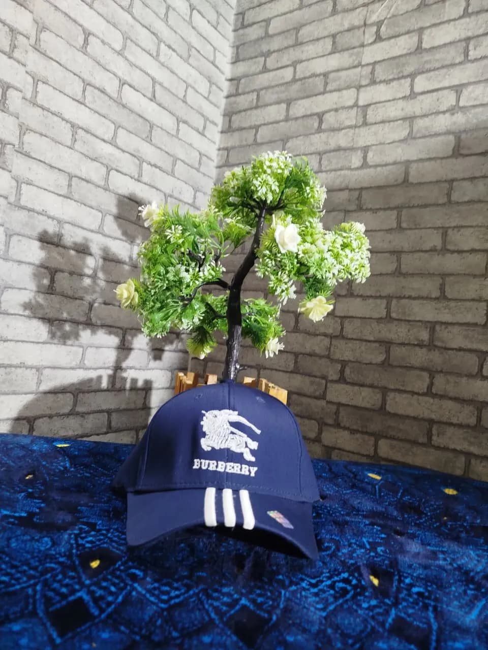 Premium Cotton Fabric Cap। ADISOM — back view