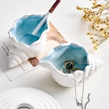 Gypsum Seashell Showpiece for home decor & conch (2-Piece Combo) by Shaon Fashion — buy online in Bangladesh Gypsum Seashell Showpiece for home decor & conch (2-Piece Combo) — Shaon Fashion Bangladesh