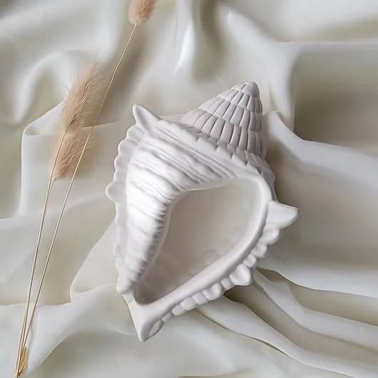 Gypsum Seashell Decorative Showpiece - For Home Decor by Shaon Fashion — buy online in Bangladesh Gypsum Seashell Decorative Showpiece - For Home Decor — Shaon Fashion Bangladesh